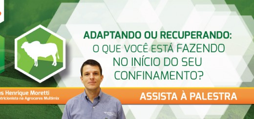 Adaptando ou recuperando: O que você está fazendo no início do seu confinamento? 3 Nutrição animal- Agroceres Multimix