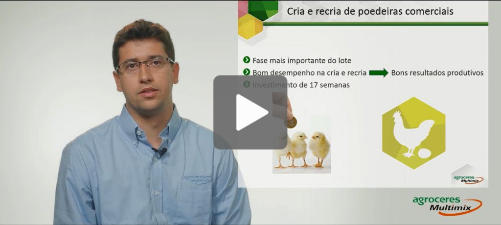 Nutrição animal