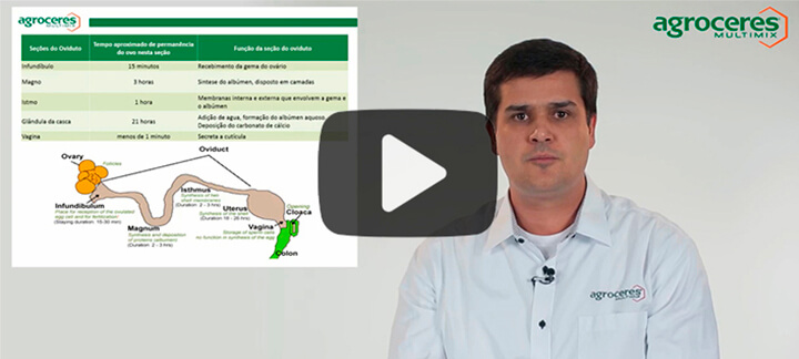Nutrição Animal - Agroceres Multimix