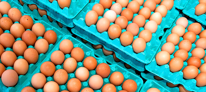 Cálcio e Fósforo - Nutrição Animal - Agroceres Multimix Cálcio e Fósforo - Nutrição Animal - Agroceres Multimix