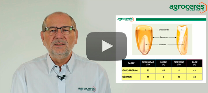 Matérias Primas - Milho - Nutrição Animal - Agroceres Multimix