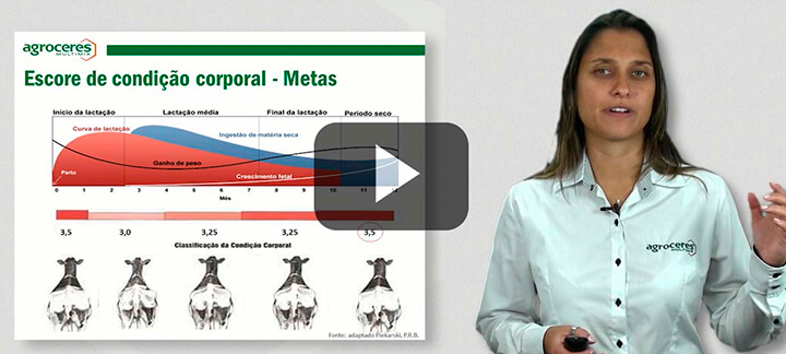 Vacas Leiteiras - Nutrição Animal - Agroceres Multimix