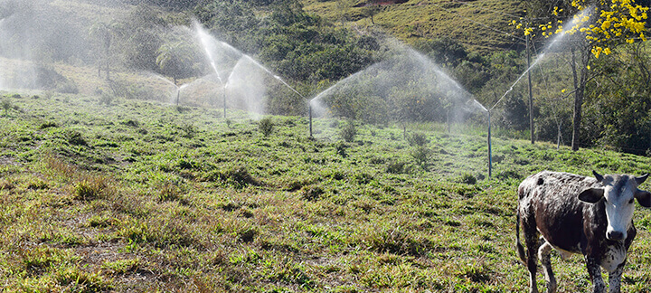 Dejetos na suinocultura - Agroceres Multimix | Nutrição Animal