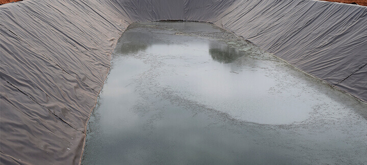 Dejetos na suinocultura - Agroceres Multimix | Nutrição Animal