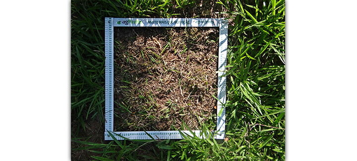 Massa de forragem - Nutrição Animal | Agroceres Multimix Massa de forragem - Nutrição Animal | Agroceres Multimix