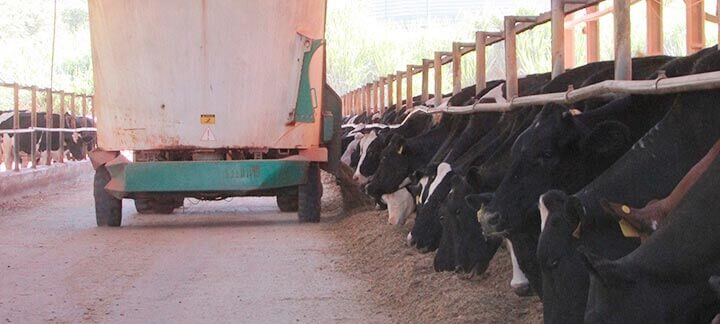 Post: Qualidade da Mistura. Caminhão enchendo o cocho