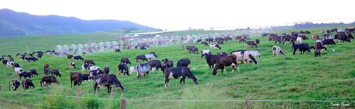 Post. Agroleite. Fazenda Santa Luzia.