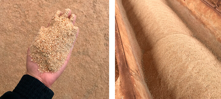 Sorgo - Nutrição Animal Agroceres Multimix