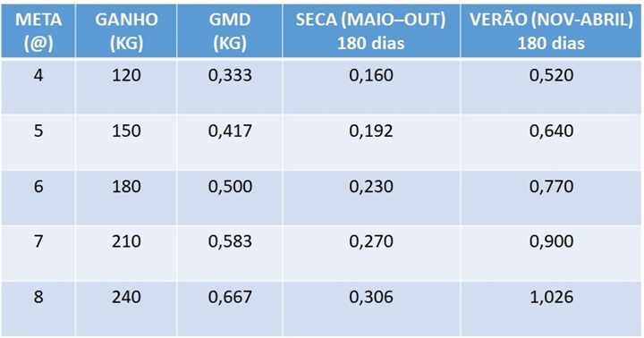 Recria: O que e por que medir? - Gestão Enfoco