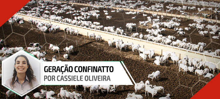 Capa do artigo sobre a evolução do confinamento no Brasil