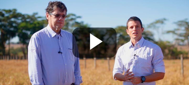 Geração agPastto: Bate-papo sobre TIP 4 play flav math