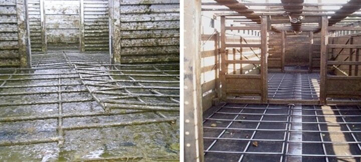 Bem-Estar Animal: Seu efeito e resultado do confinamento Bem-Estar Animal: Seu efeito e resultado do confinamento