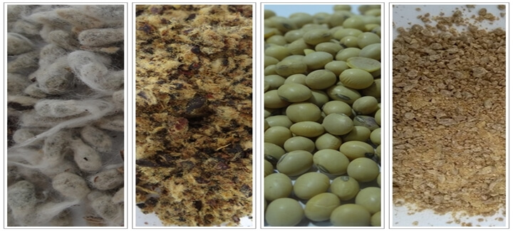 Uso de gordura na dieta - Por Dentro do Cocho | Nutrição Animal Uso de gordura na dieta - Por Dentro do Cocho | Nutrição Animal