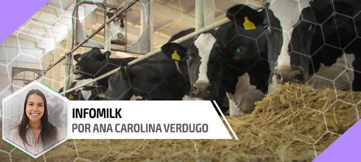 Tamponantes na nutrição de vacas leiteiras - Nutrição Animal