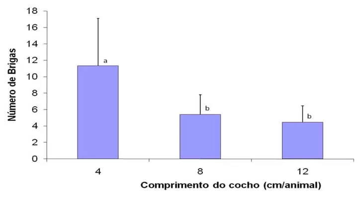 Suplementação no período das águas- A imagem mostra um gráfico que apresenta o número de brigas entre os bois devido ao cumprimento do cocho, sendo que quando o cocho chega em torno de 11cm o número de brigas é 4, quando em torno de 5cm o número é de 8 brigas, quando abaixo de 5cm o número de brigas é de 12 bois. 