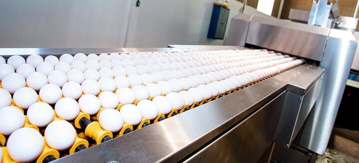 Qualidade da casca: uma imagem mostrando ovos em suportes pra ovos