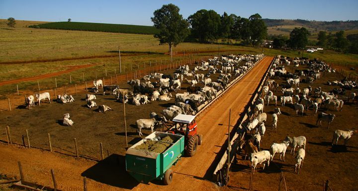 desperdícios clássicos