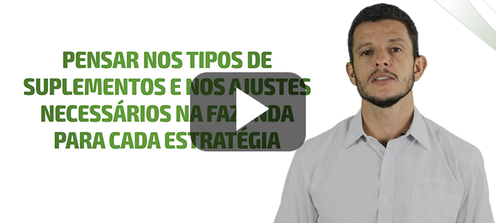 Quanto custa? – O Suplemento 4 RGERGRF3