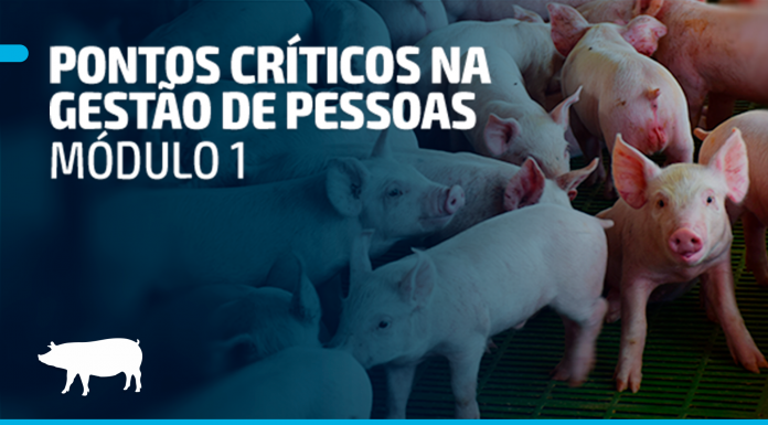 Pontos críticos na gestão de pessoas – Módulo 1