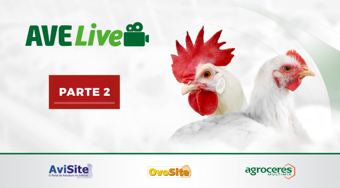 Avelive: Informação de qualidade, em tempo real – Parte 2