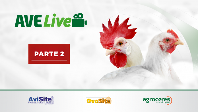 Thumbnail do vídeo da transmissão 02