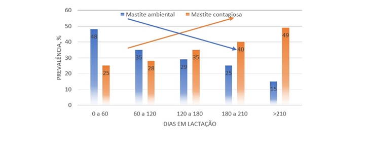 mastite subclínica mastite subclínica