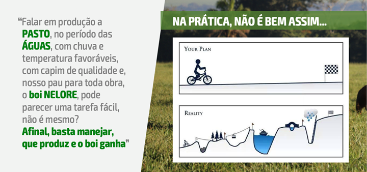 plan de dieta de motor g plan de dieta de motor g