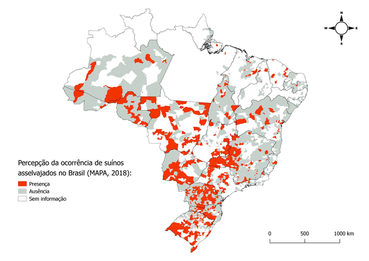 Peste Suína Africana: imagem que mostra a percepção da ocorrência de suínos asselvajados no Brasil
