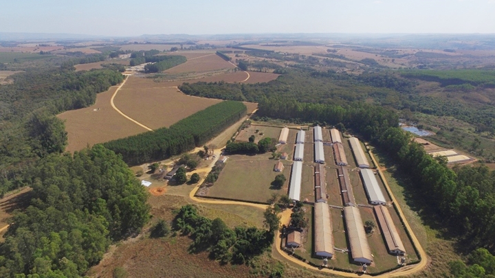 Peste Suína Africana: uma imagem tirada de cima mostrando alguns extensos balcões que possivelmente podem ser granjas de suínos
