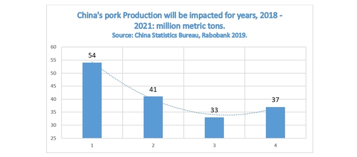 Peste Suína Africana: Tabela do Rabobank de 2018 mostrando a suposta previsão de produção de suínos na China de 2018 até 2021