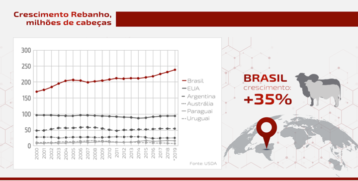 Gráfico sobre crescimento de rebanho no Brasil, EUA, Argentina, Paraguai e Uruguai - artigo sobre carne bovina