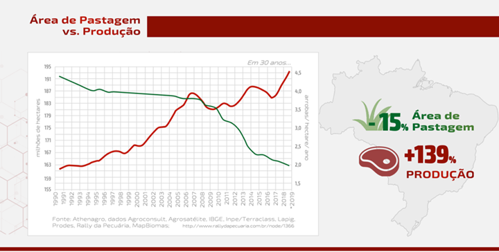 Gráfico sobre a área de pastagem versus a produção - artigo sobre carne bovina