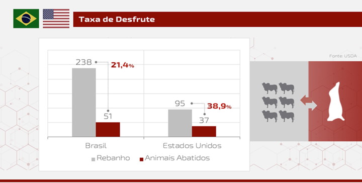 gráfico sobre a taxa de desfrute no Brasil e nos Estados Unidos -artigo sobre carne bovina