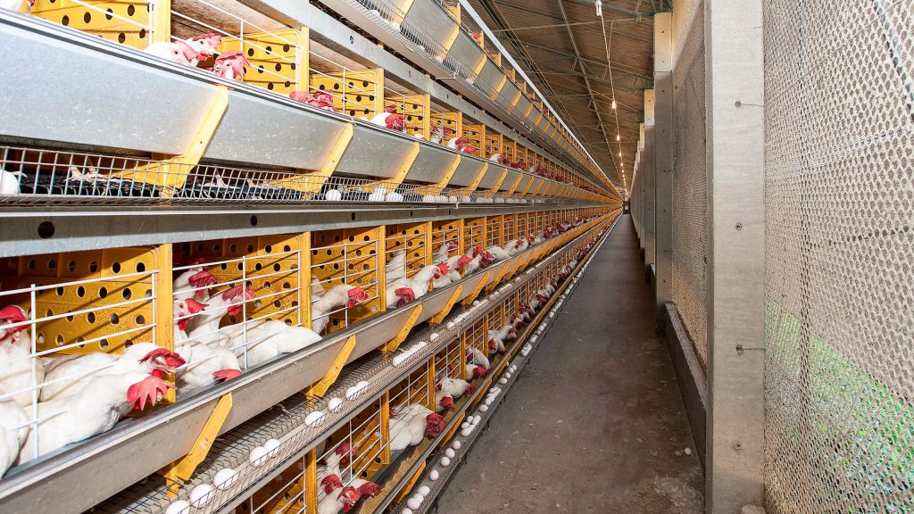 programas de biosseguridade