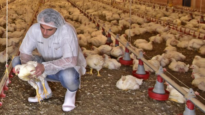 programas de biosseguridade