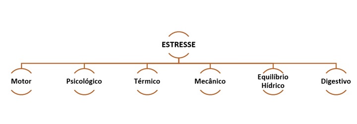 manejo pré abate
