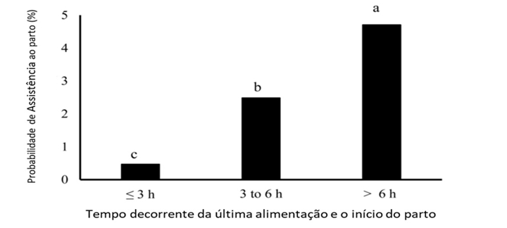 leitoes nascidos vivos