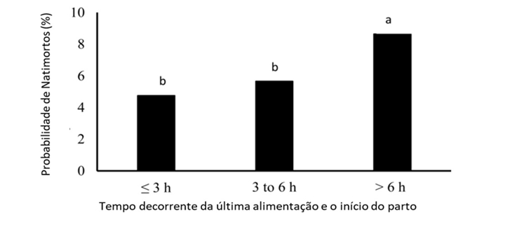 leitoes nascidos vivos