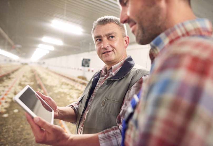 Imagem que remete ao uso da tecnologia dentro da industria avícola - dois homens em expressao de conversa e com um tablet na mão