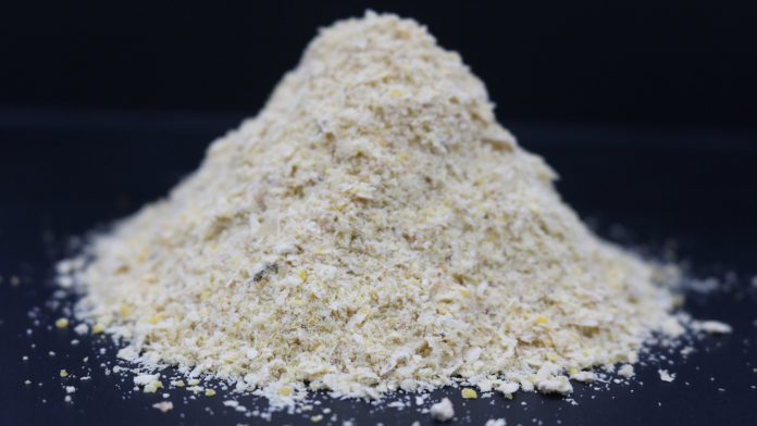 Figura 2. Milho moído (esquerda); gérmen de milho (direita) Figura 2. Milho moído (esquerda); gérmen de milho (direita)