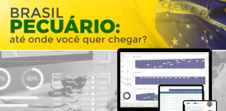 Imagem do artigo com foco na gestão, coleta e análise de dados em uma fazenda, com título na arte de BRASIL PECUÁRIO: até onde você quer chegar?