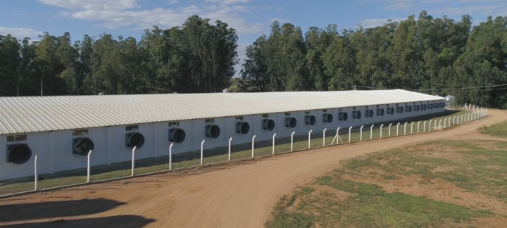 imagem que mostra uma cerca de isolamento da granja, importante detalhe para medida de biossegurança