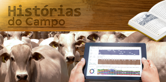 Capa de artigo com título Histórias do Campo, bovinos de fundos e uma mão de uma pessoa com um tablet mostrando dados gráficos de um software