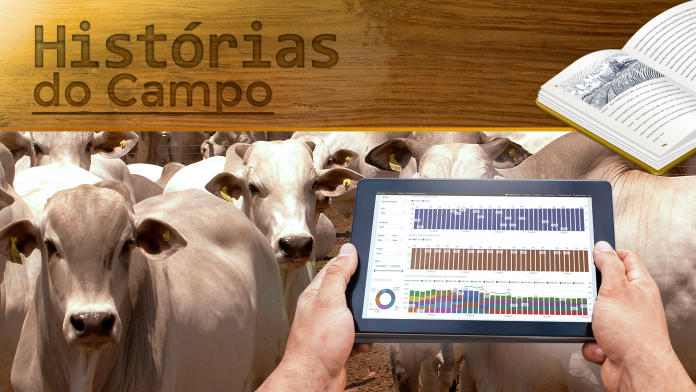 Capa de artigo com título Histórias do Campo, bovinos de fundos e uma mão de uma pessoa com um tablet mostrando dados gráficos de um software