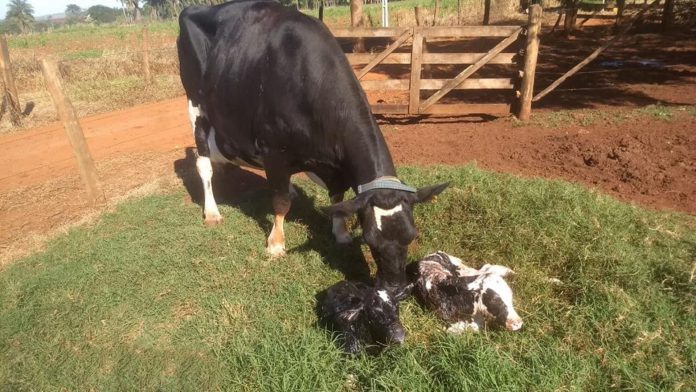 imagem destaque período de transição imagem destaque do artigo sobre a importância do período de transição
