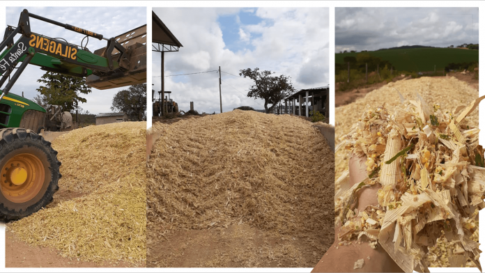 foto destaque do artigo sobre snaplage