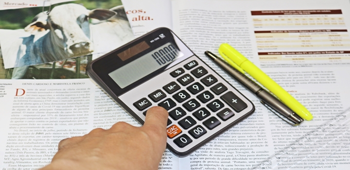 imagem do artigo com tema sobre perfil investidor