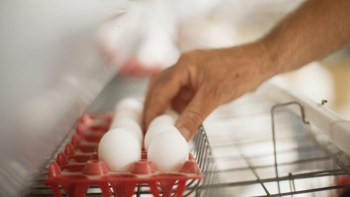 031214 AGROCERES 311