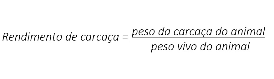 Rendimento de carcaça = peso da carcaça do animal dividido pelo peso vivo do animal