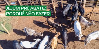 imagem capa do artigo sobre jejum pré-embarque